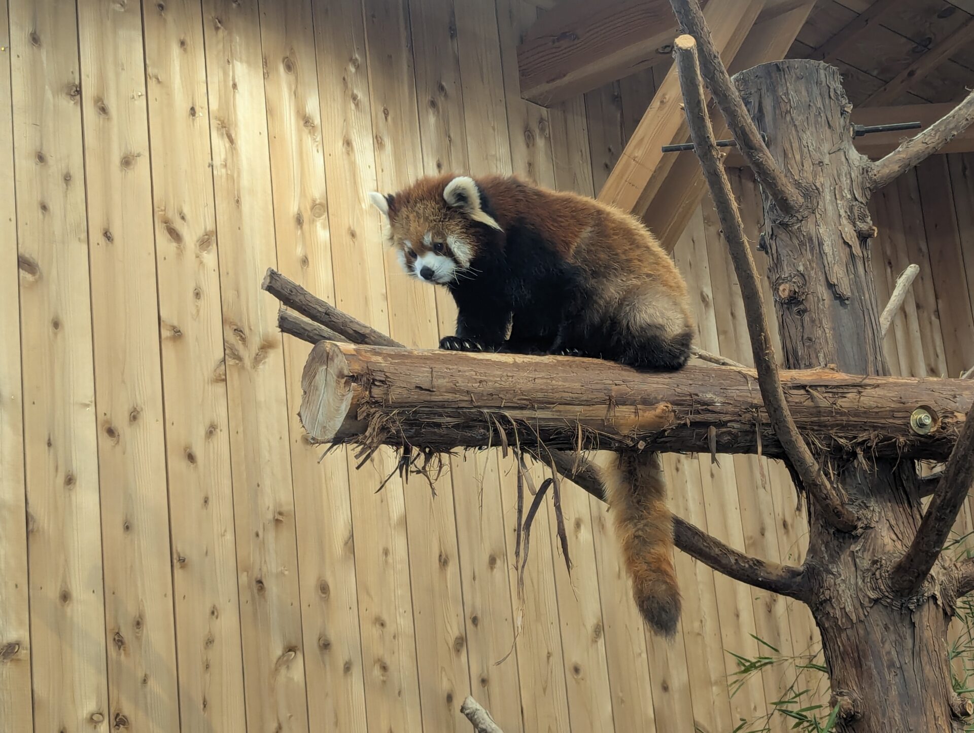 下田へ研修旅行にいってきました