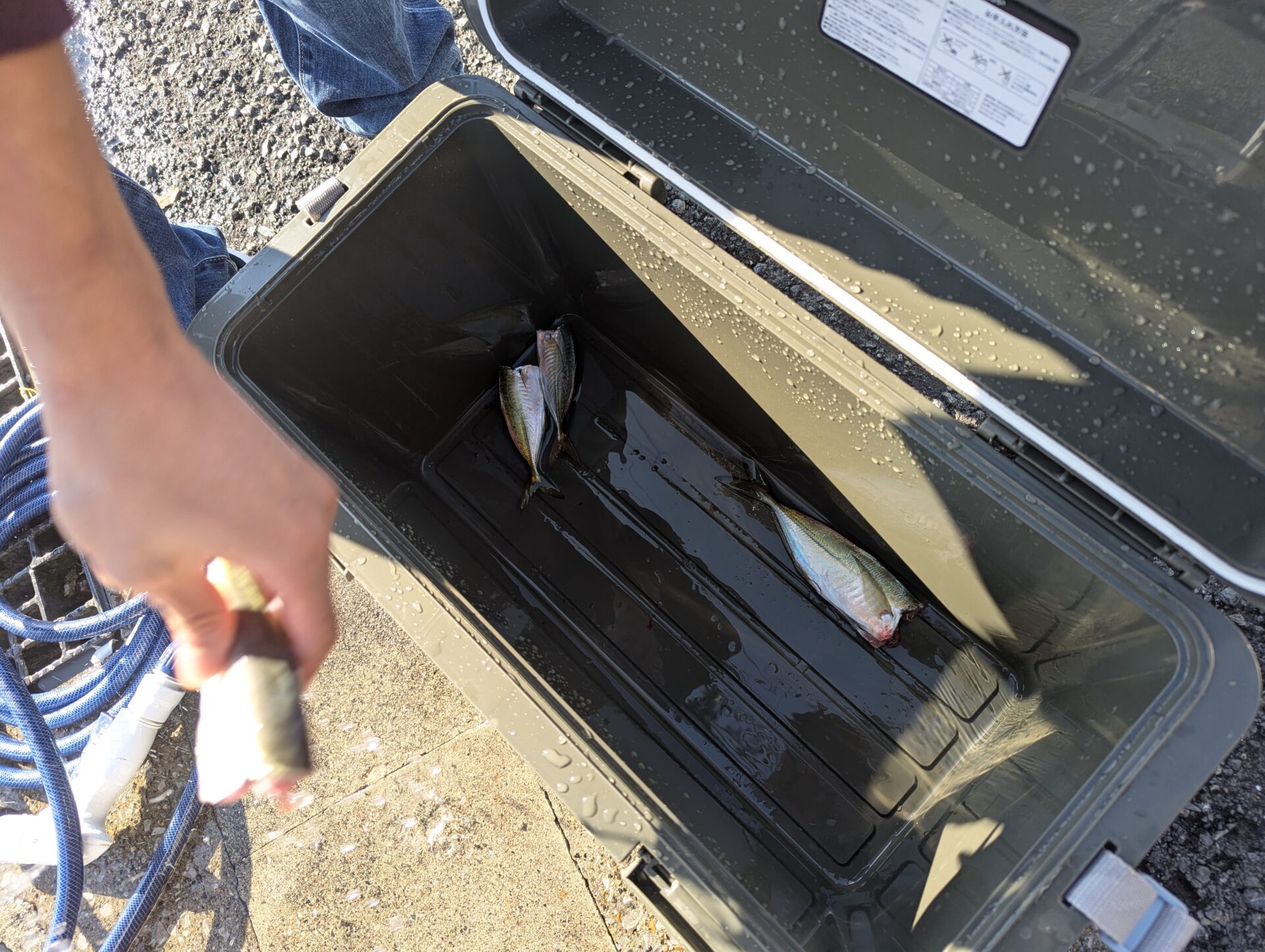 走水で釣りに行ってきました！